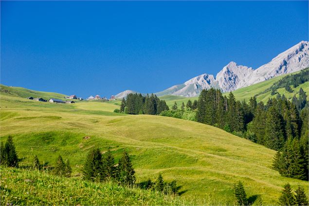 Col des Annes - D.Machet