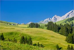 Col des Annes - D.Machet
