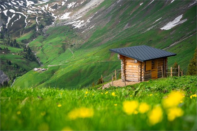 Observatoire de la Faune - Région Dents du Midi