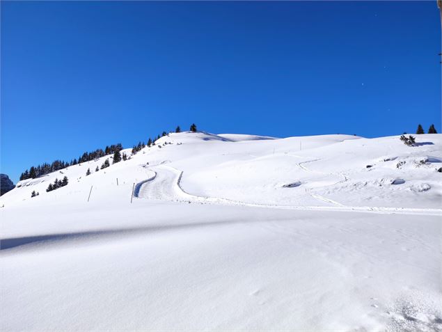 Piste rouge de ski nordique - Inconnu