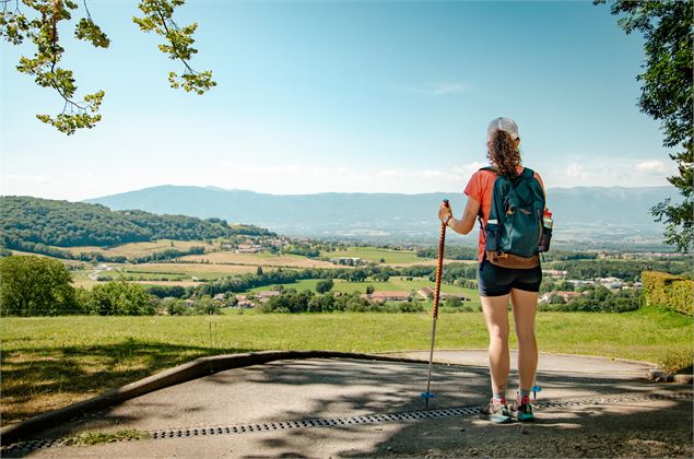Vue sur le Genevois depuis la Chartreuse de Pomier - B.Souvansanouk - OT Monts du Genevois
