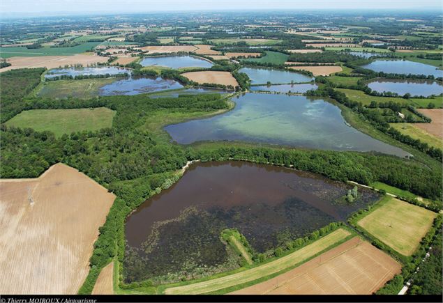 Les étangs de la Dombes vus du ciel - ©thierry Moiroux