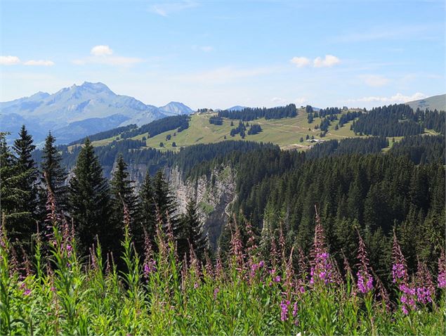 Parcours trail 50 vert : Avoriaz Joux Verte