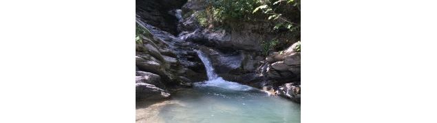 Parcours trail 8 vert : Sentier du Renard