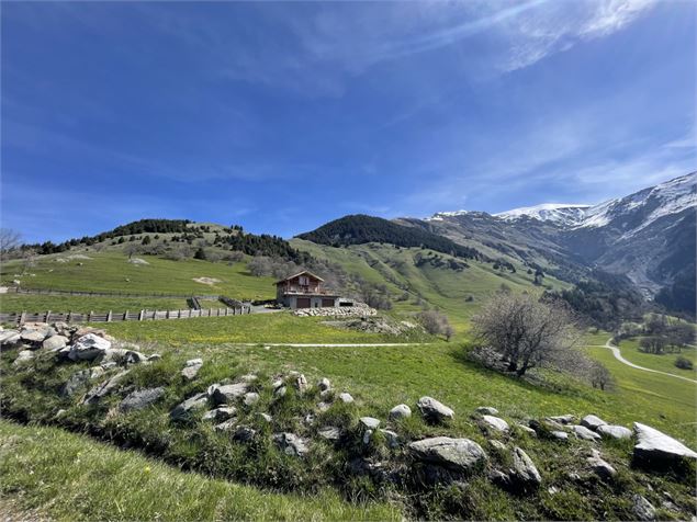 Tour de l'Armelaz et Combe de l'Indrion - 3CMA