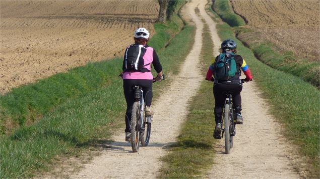 Circuit VTT-VTC 3 bleu - L'arboretum d'Etrez - Espace Bresse Base FFvélo