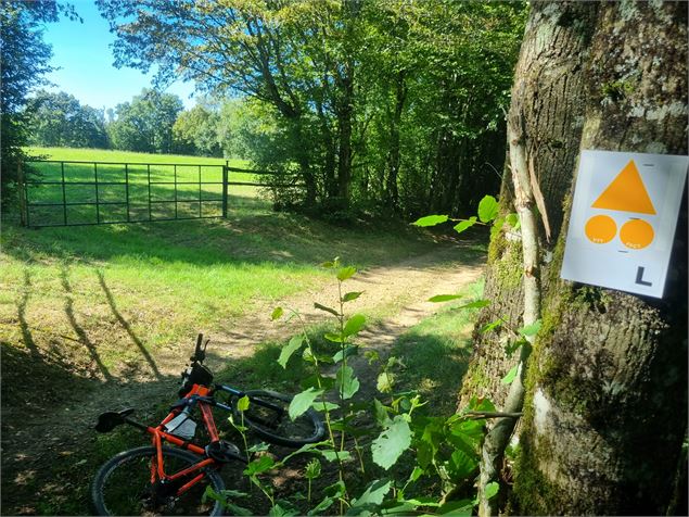 Circuit VTT-VTC 7 - rouge - Les Grandes terres de Marboz - Espace Bresse Base FFvélo - scalland