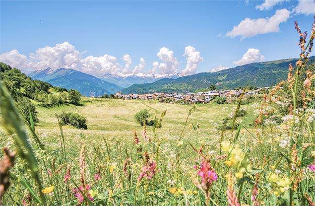 vue printanière - Coeur de Tarentaise Tourisme
