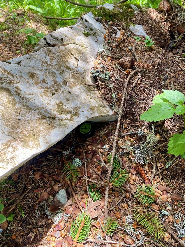 Cache sous une roche en forêt - OT Flaine - G. Magre