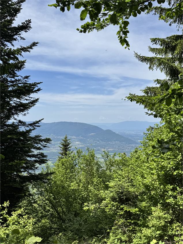 Vue - Môle & Brasses Tourisme