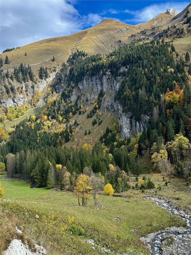 Vue automne - CAMT