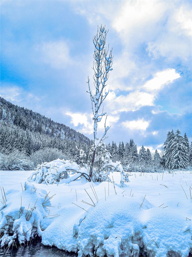 Piste multi-activités : la Nicode_Mijoux - ©Gaetan Level Touriner