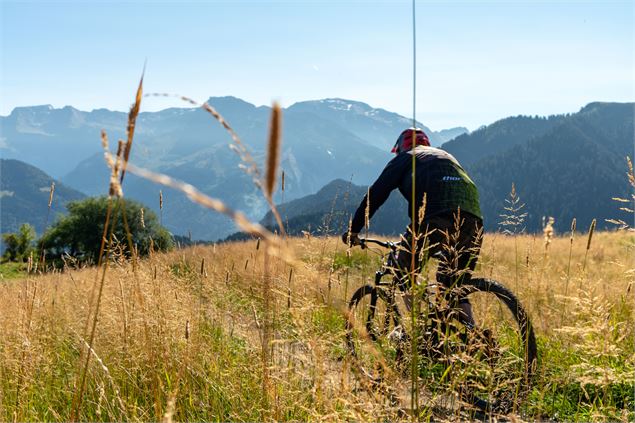 VTT en descente - Christian Martelet