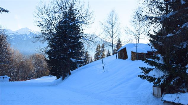 Chemin enneigé vers la buvette de Prachanié, retour du sentier - La Plagne Vallée