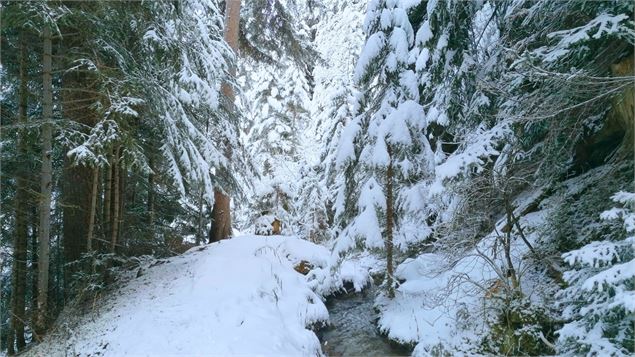 Sentier le long du bief - La Plagne Vallée