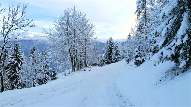 Balade à raquettes/piétons - Montée dans les alpages_Aime-la-Plagne - La Plagne Vallée