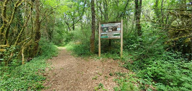 Réserve Naturelle de la grotte de Hautecourt_Hautecourt-Romanèche - GBA