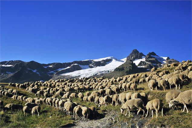 Vallée des Chapieux - Philippe Royer/Haute Tarentaise Tourisme