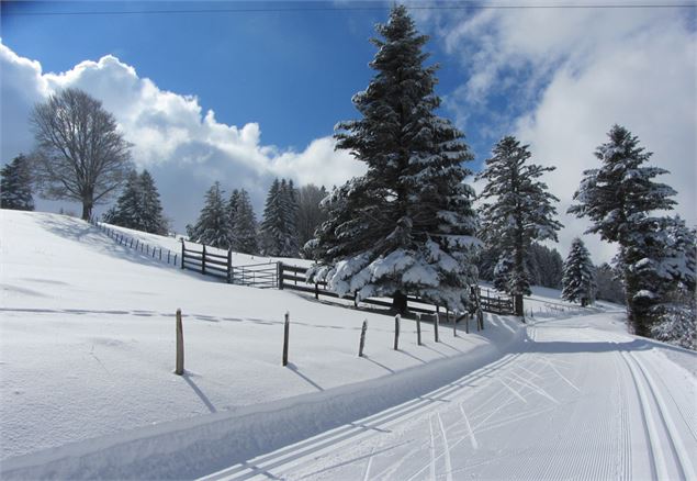 piste ski de fond saleve - Foyer Nordique Salève