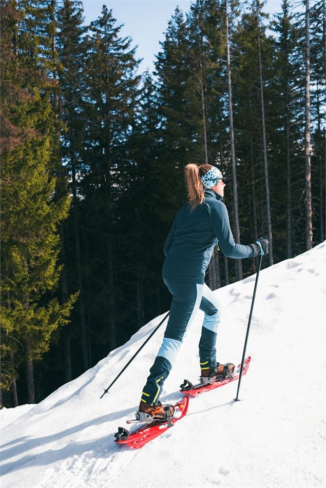 randonnée raquettes - David André