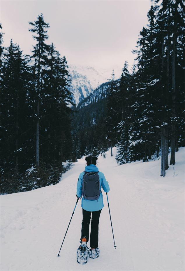 Chantery hiver - Chillinmaster