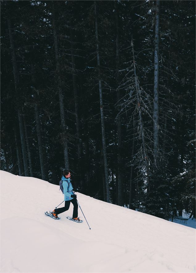 randonnée raquettes - Chillinmaster