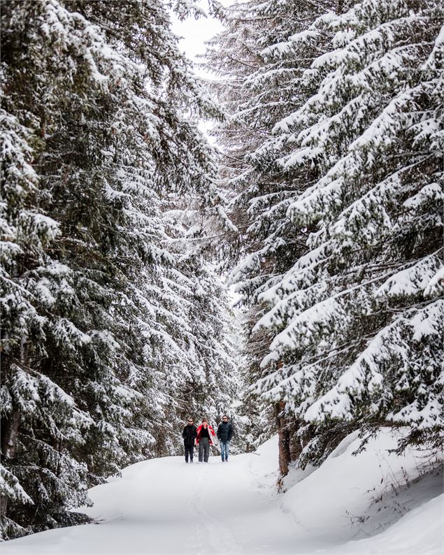 promenade hiver - Courchevel Tourisme