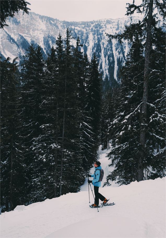 randonnée raquettes - Chillinmaster