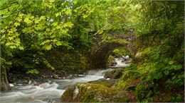 Pont des Nants_Cordon - ©Jean-Marc barey