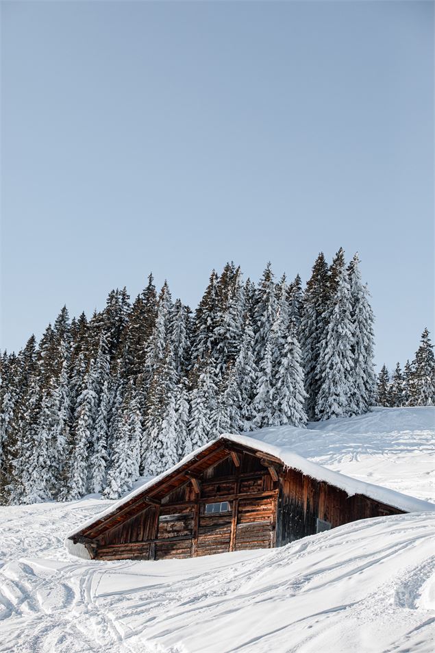 Vue d'un chalet dans la neige - Marie Bougault