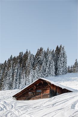Vue d'un chalet dans la neige - Marie Bougault
