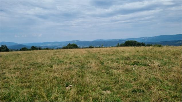Belvédère du Mont de Rignat - Vignes de Journans et Rignat_Journans - scalland