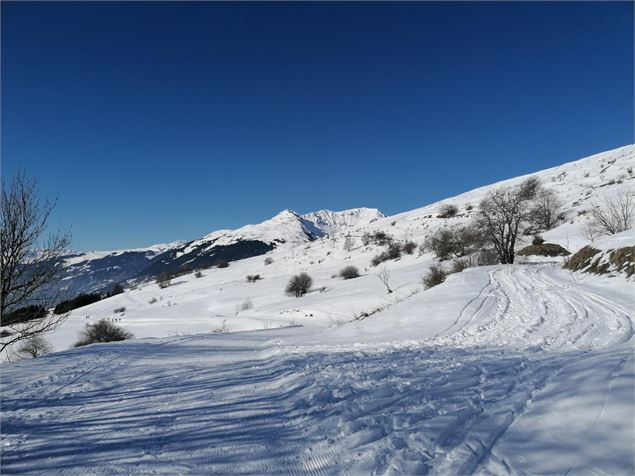 Balade à raquettes - Boucle des Fours_La Plagne Tarentaise - La Plagne Vallée