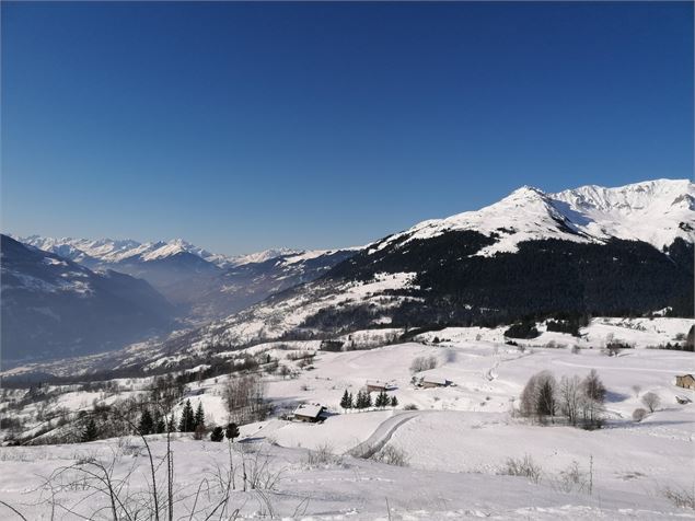 Balade à raquettes - Boucle des pâturages_La Plagne Tarentaise - La Plagne Vallée