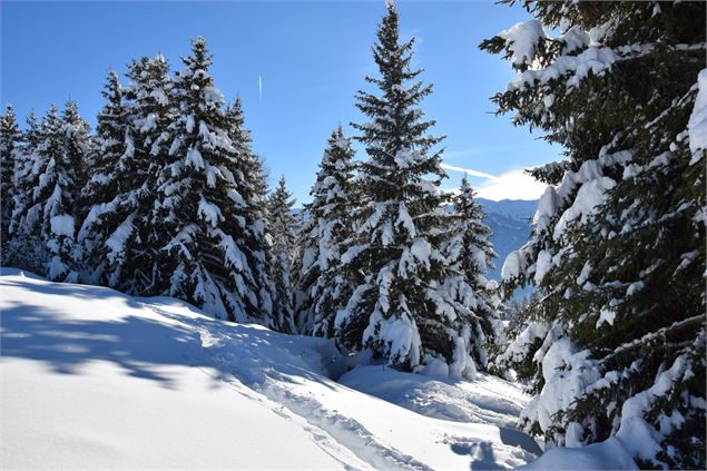 Balade à raquettes - Boucle des crêtes_La Plagne Tarentaise - La Plagne Vallée