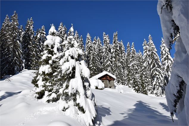 Balade à raquettes - Boucle du bief_La Plagne Tarentaise - La Plagne Vallée