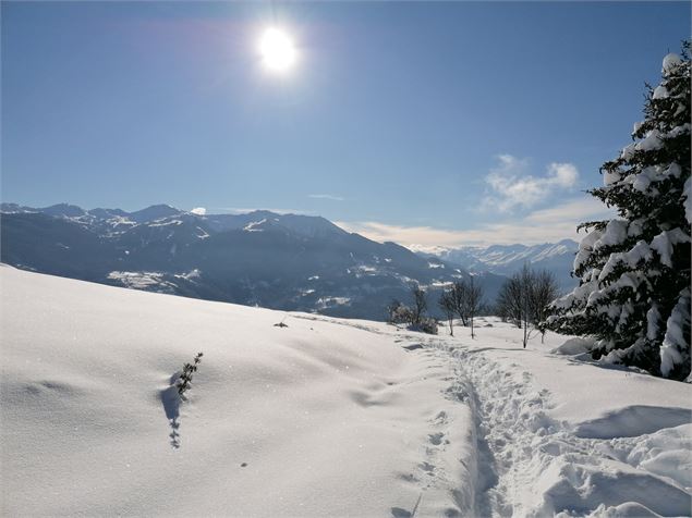 Domaine loisirs et nordiques La Côte d'Aime-Valezan - La Plagne Vallée