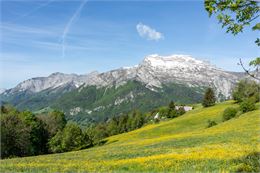 Alpage et paturage de Sulens au printemps - Office de Tourisme Thônes Coeur des Vallées