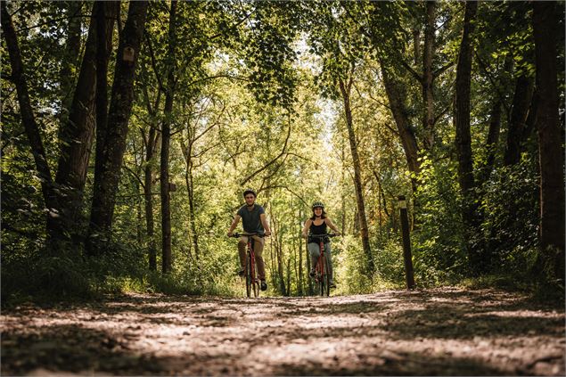 VTT - Boucle de la Férande - Céline Ducrettet