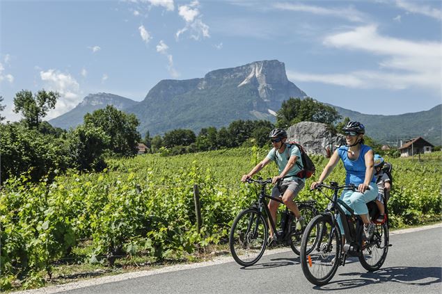 Dans les vignes de Myans - Didier Gourdin - CMCB