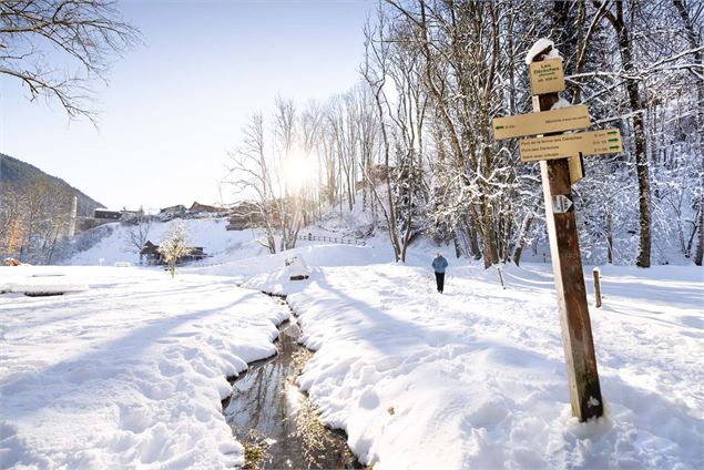 Promenade dans le parc des Dérêches_Morzine - @JBbieuville