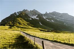 Panoramique du Col des Aravis - Itinéraire VTT Cross-Country N°49