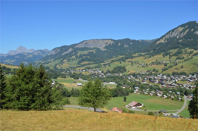 Thouvassières - OT Praz sur Arly