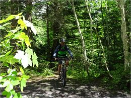 Vtt en forêt - © Patrick DUVILLARD