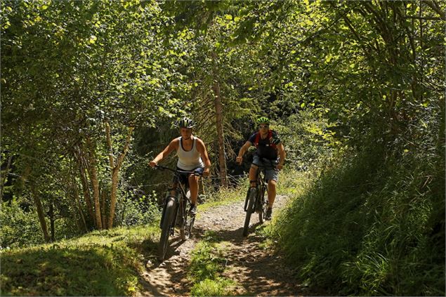 Vtt en forêt - © Jean-Marc BAREY