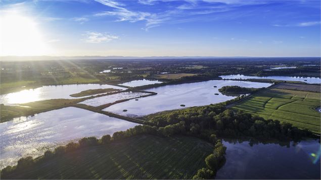 Vue aérienne des étangs de la Dombes - ©Arcom Design