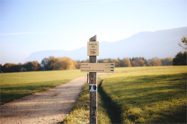 Croix et vestiges visibles sur le sentier des Graniteurs - Charly - OT Monts du Genevois - A. Modyle