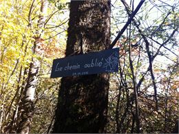 Le Chemin oublié - Mairie de Cuvat