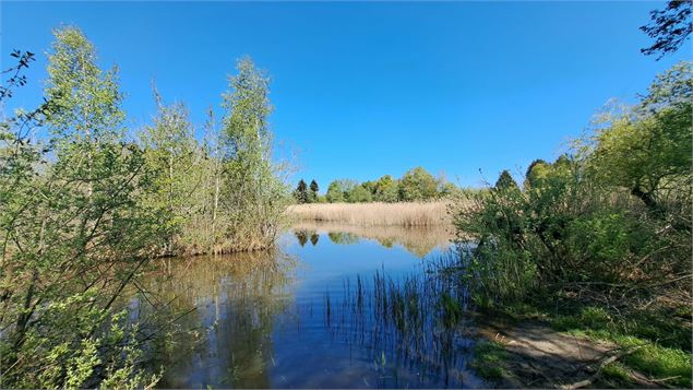 Etang de Mouille-Marin - C.Rampon - OT MDG