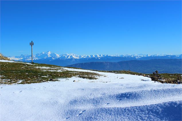 Montoiseau - ©jthevenard